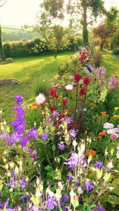 Bed and Breakfast Horsna Parc Retreat Saint Tudy Exterior foto
