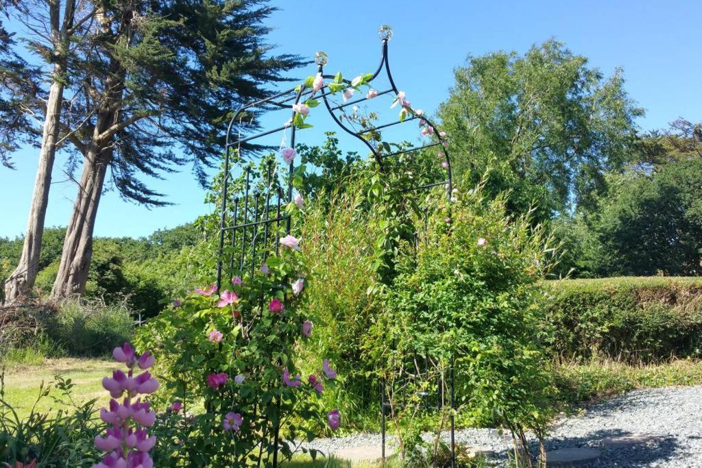Bed and Breakfast Horsna Parc Retreat Saint Tudy Exterior foto