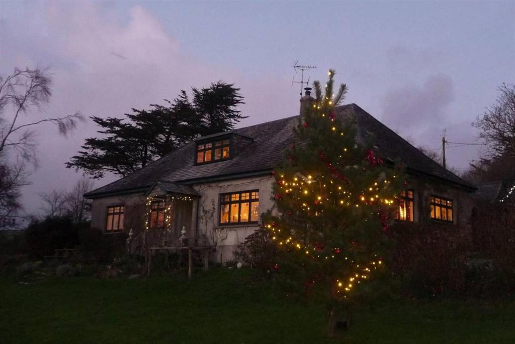 Bed and Breakfast Horsna Parc Retreat Saint Tudy Exterior foto